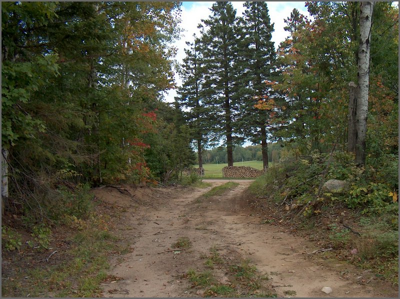 Logging Road Behind Rock.jpg