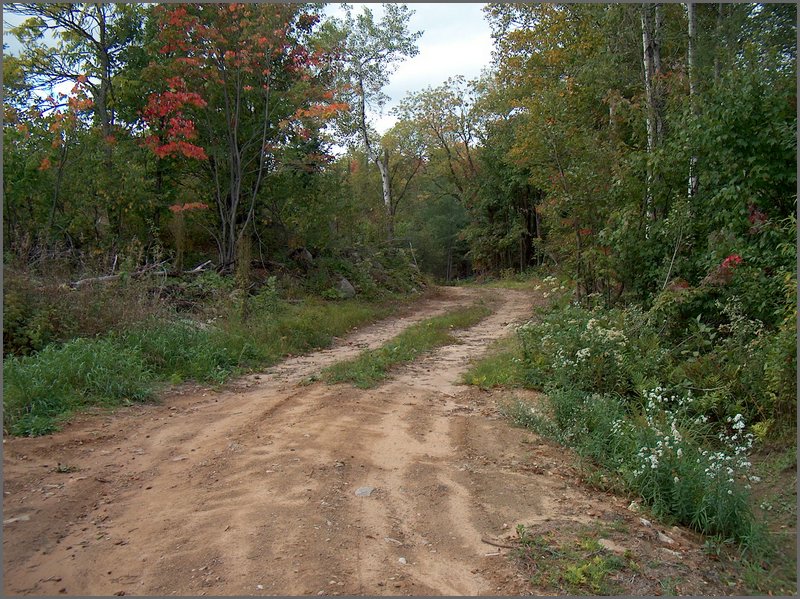 Logging Road By Farm House.jpg