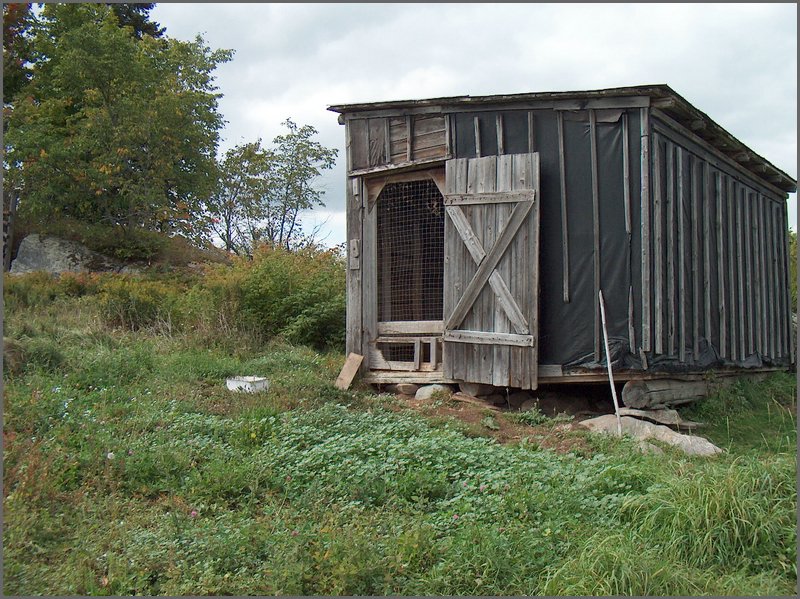 Old Horse Shed.jpg