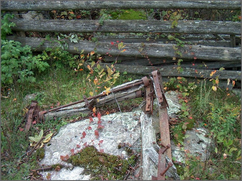 Part Of Old Sleigh.jpg