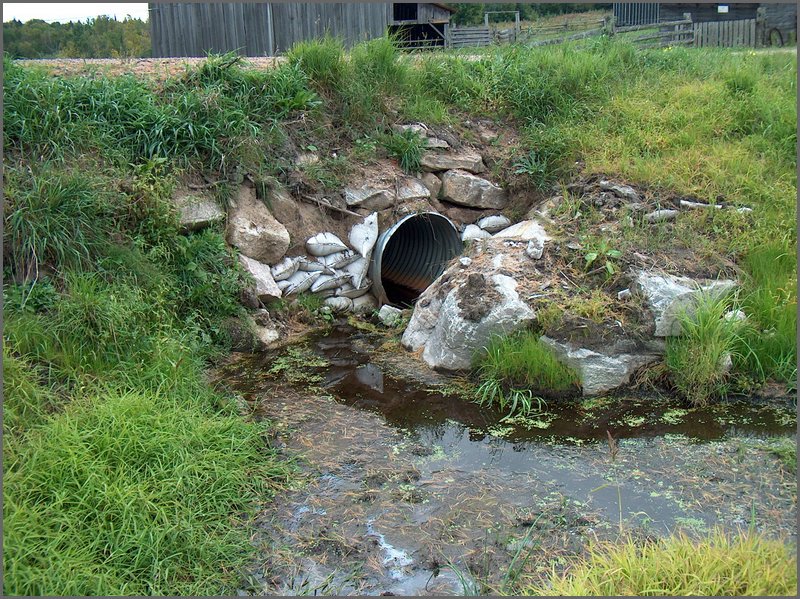 Pond View of Culvert1.jpg