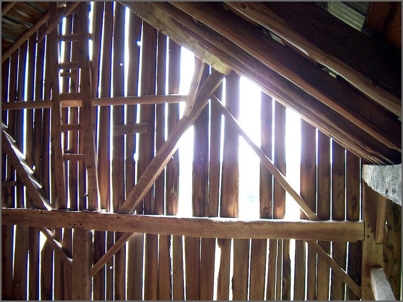 Rafters of Barn 2.jpg