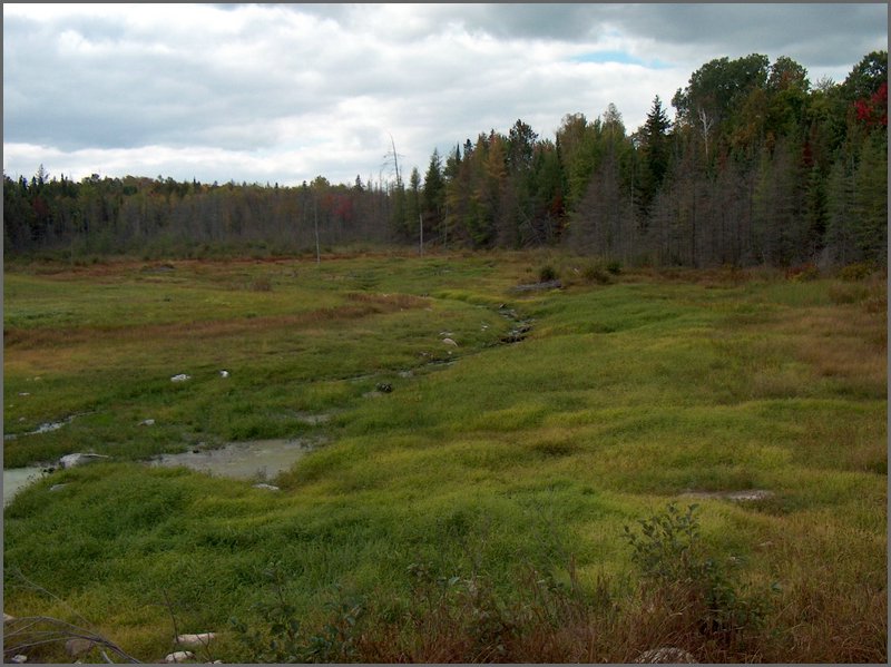 The Pond Drained 2.jpg