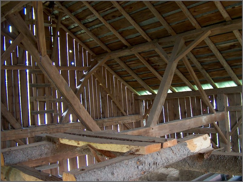 Vew From Beams.jpg