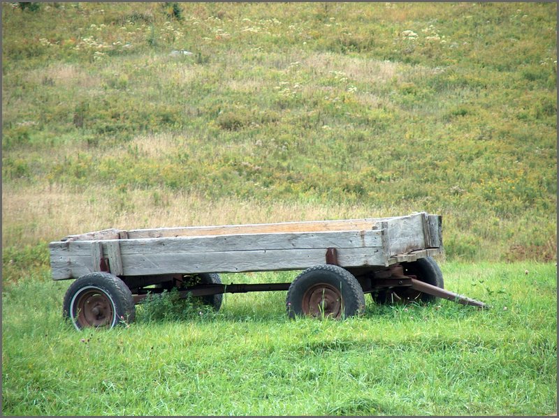 Wagon In Field.jpg
