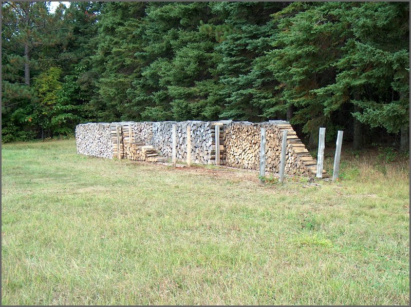 Wood Pile.jpg_2.JPG