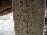 Carved  1979.jpg