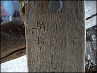 Carved 1979.jpg