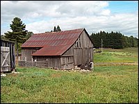 Farm01.jpg