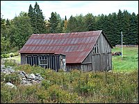 Farm03.jpg