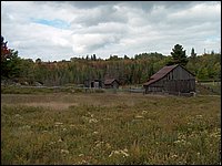 Farm06.jpg