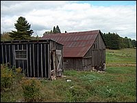 Farm11.jpg