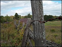 Fence Post - Barbed Wire.jpg