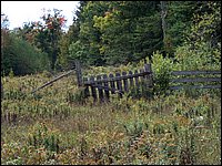 Gate To Pasture.jpg