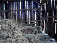 Hay Mow Bales.jpg