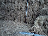 Hay Mow Pitch fork.jpg