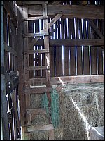 Ladder In Barn.jpg