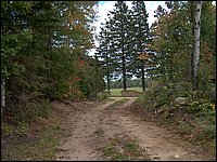 Logging Road Behind Rock.jpg