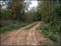 Logging Road By Farm House.jpg