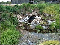 Pond View of Culvert1.jpg