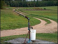 Pump And Garden.jpg