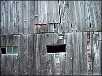 Stable Windows Outside.jpg