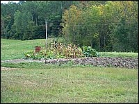 The Garden In Fall.jpg