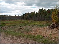 The Pond Drained.jpg