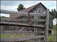 Trap On Fence.jpg