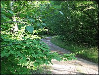 Img_0068.jpg