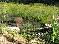 Img_0080.jpg