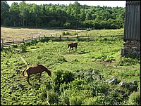 Img_0083.jpg