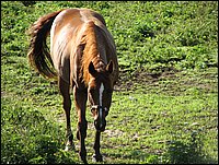 Img_0084.jpg