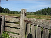 Img_0087.jpg