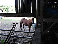 Img_0091.jpg