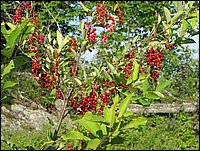 Img_0093.jpg