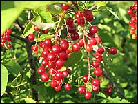 Img_0095.jpg