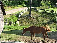 Img_0096.jpg