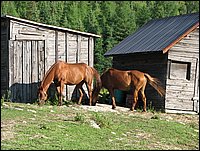 Img_0101.jpg