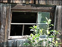 Img_0105.jpg
