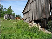 Img_0113.jpg