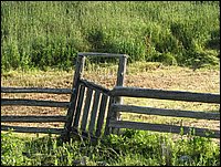 Img_0115.jpg