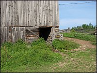 Img_0117.jpg