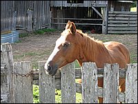 Img_0124.jpg