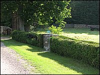 Img_0125.jpg