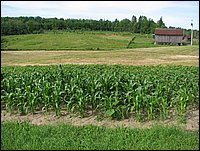 Img_0134.jpg