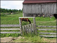 Img_0141.jpg