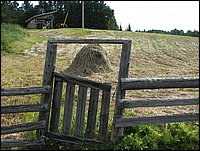 Img_0142.jpg