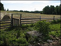 Img_0143.jpg