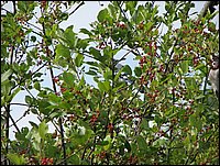 Img_0146.jpg